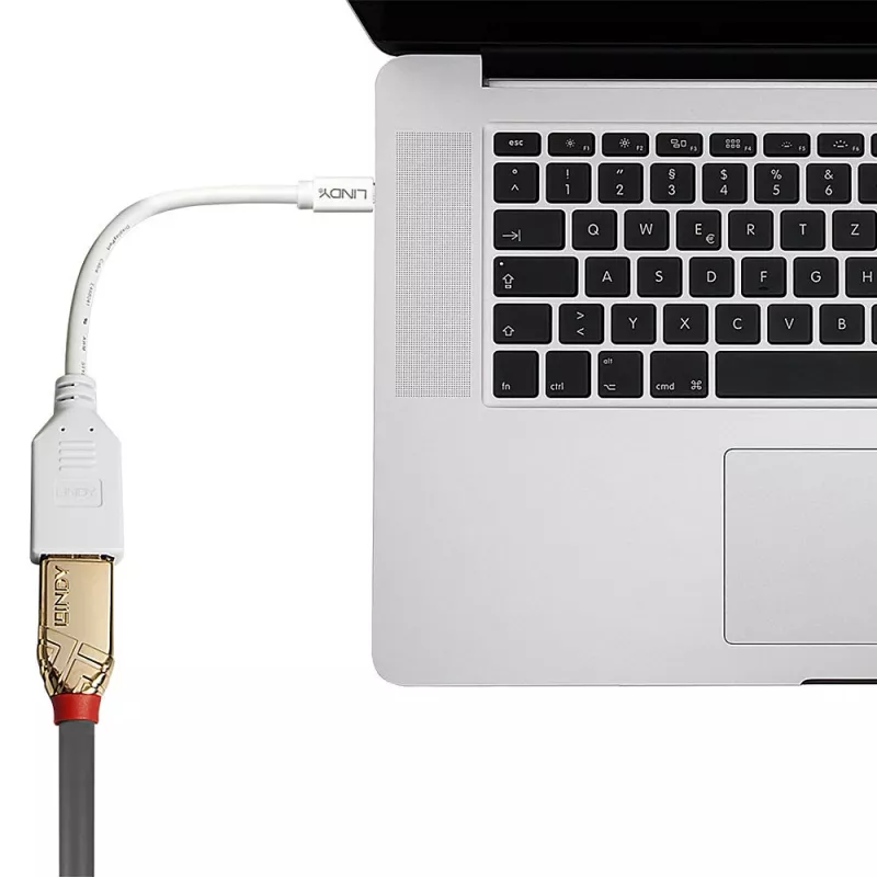 Lindy 0.20m Mini DisplayPort uz DisplayPort adaptera kabelis, 0.15 m, Mini DisplayPort, DisplayPort, Tēviņš, Mātīte, Balts