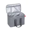 Piknika soma Cool Box Resto Kitchenware 5523 23L Pelēka Poliesters PEVA
