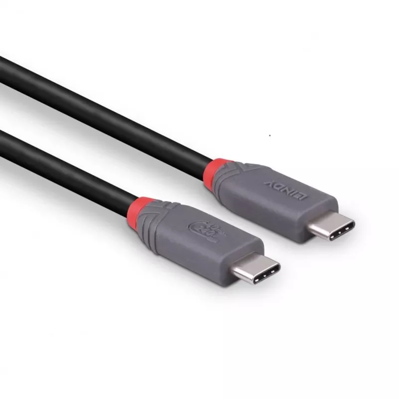 Lindy 1.5 m USB 4 240 W Type C kabelis, Anthra Line