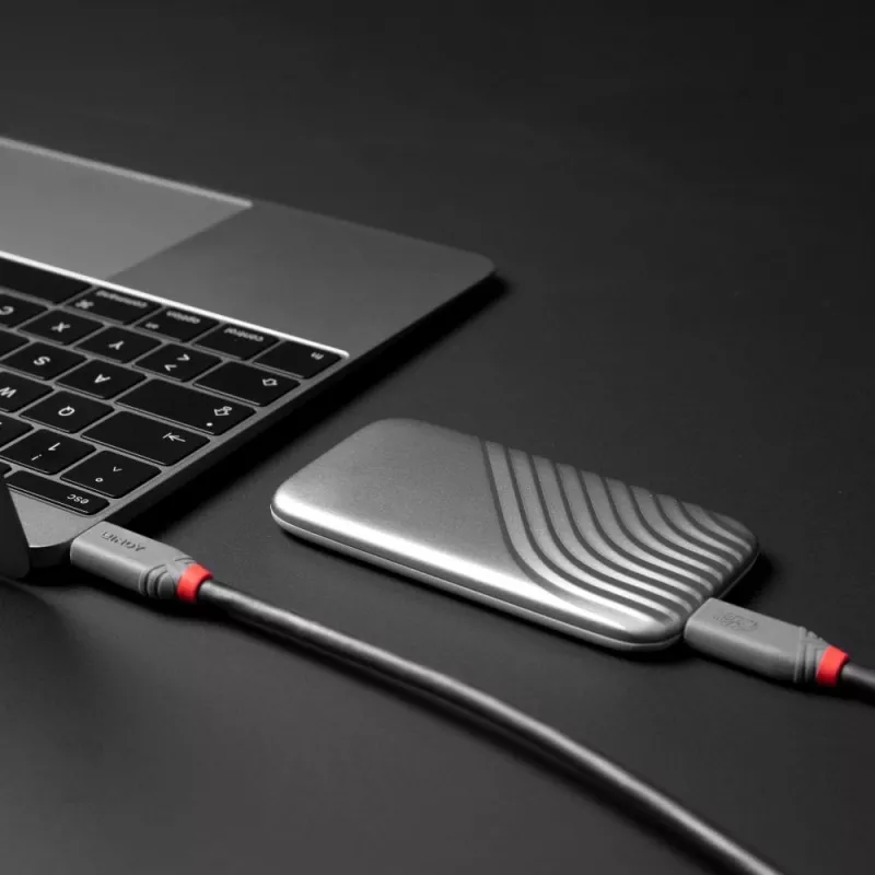 Lindy 1.5 m USB 4 240 W Type C kabelis, Anthra Line