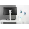 Neomounts FPMA-D890WHITE Monitora statīvs 10-30 collām, brīvi stāvošs, 6 kg, 25.4 cm (10 inch), 76.2 cm (30 inch), 100 x 100 mm, Balts