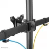 Neomounts monitoru galda statīvs FPMA-D550DD3BLACK brīvi stāvošs 6 kg 13-27 collas