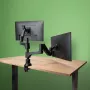 R-Go Tools Monitoru roka R-Go Caparo Dual, diviem monitoriem, regulējama ar gāzes atsperi, 3-9 kg slodze, 100% apļveida, melna