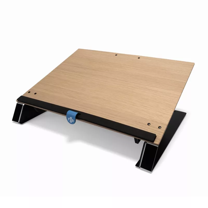 R-Go Tools dokumentu turētājs R-Go Read2Write, lasīšanai un rakstīšanai, ergonomisks, ar mīkstu putuplasta plaukstas balstu, ozolkoks
