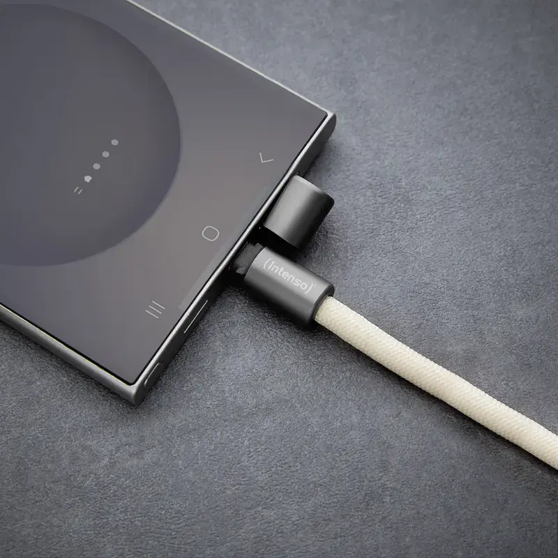 USB-C kabelis Intenso Handykette 1,65m bēšs