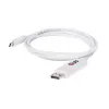 CLUB3D USB 3.1 Type-C uz DisplayPort 1.2 adapteris CAC-1517