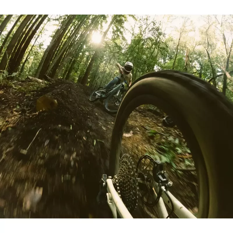 Pagarinājuma stabs GoPro Boom AEXTM-001