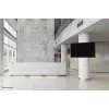 Neomounts WL30S-910BL16 statīvs TV piestiprināšanai pie staba 50 kg 40-75 collas