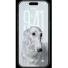 Viedtālrunis Apple iPhone 17 Pro Max 6,9 collu 256GB Sudraba