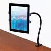 StarTech.com Gooseneck Tablet Turētājs - Lokans Planšetes Stiprinājums