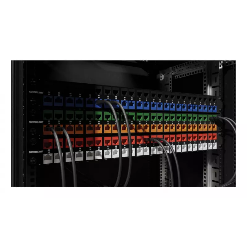 Intellinet 791298 Cat6a 10G ekranēts keystone modulis, melns