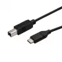 StarTech.com USB-C uz USB-B printera kabelis - vīriešu/vīriešu - 3 m (10 pēdas) - USB 2.0