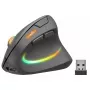 Pele SPEEDLINK SL-630026-BK RF bezvadu optiskā vertikālā