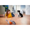 Philips PowerPro Expert FC9744/09 putekļsūcējs 2 L Cilindrisks putekļsūcējs Sausā tīrīšana 900 W Bezmaiss