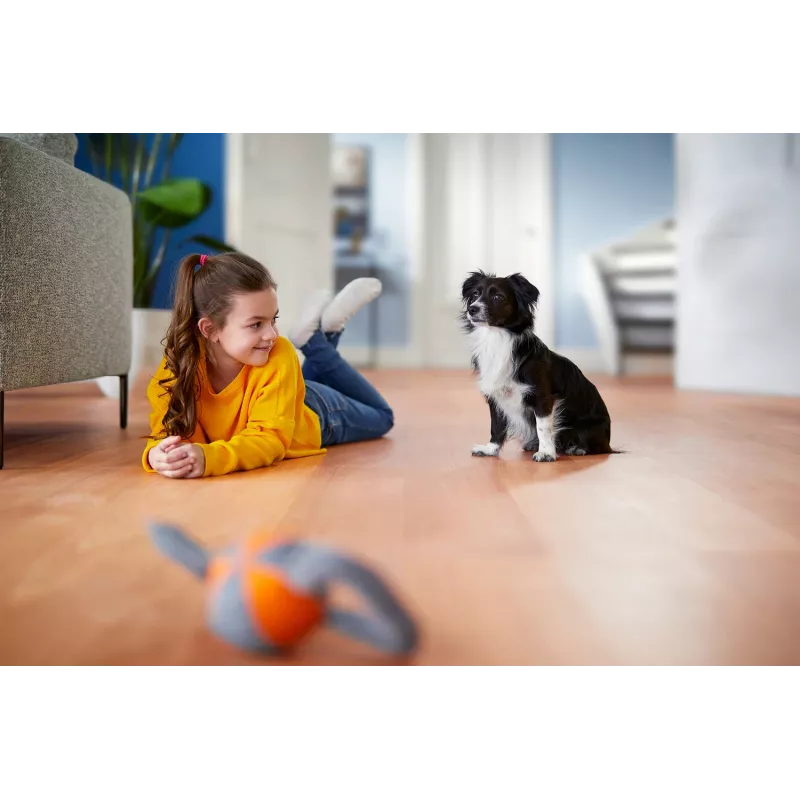 Philips PowerPro Expert FC9744/09 putekļsūcējs 2 L Cilindrisks putekļsūcējs Sausā tīrīšana 900 W Bezmaiss