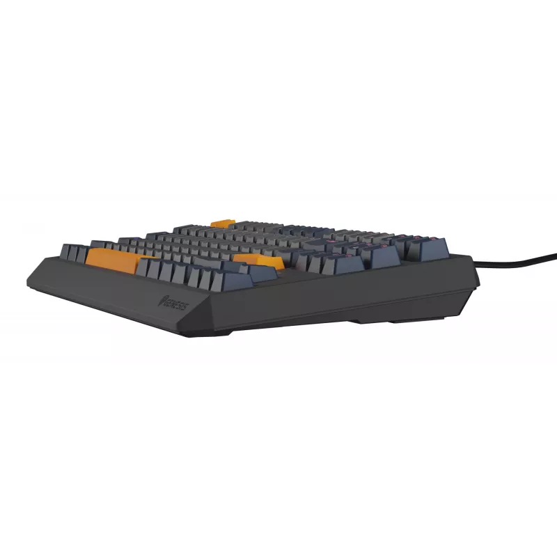 GENESIS Thor 230 TKL tastatūra Gaming USB QWERTY Angļu Blue