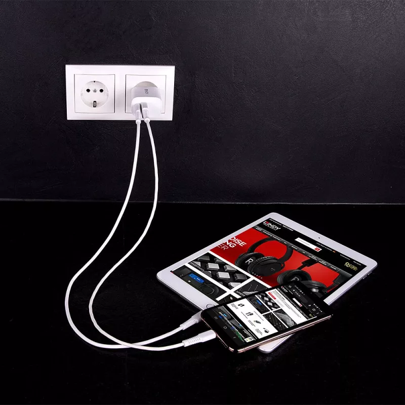 Lādētājs iekštelpām Lindy 73413 — universāls AC 100–240V, izeja 12V 3A, USB-A + USB-C, balts
