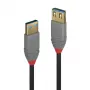 Lindy 1m USB 3.2 Type A pagarinātājkabelis, 5Gbps, Anthra Line