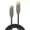 Lindy 1m USB 3.2 Type A pagarinātājkabelis, 5Gbps, Anthra Line