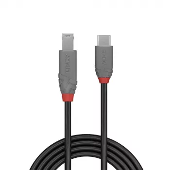 Lindy 3m USB 3.2 Type C uz B kabelis, Anthra Line