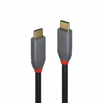 Lindy 2m USB 3.2 Type C kabelis, 5A PD, Anthra Line