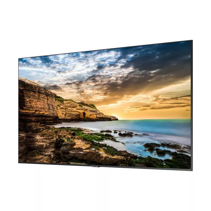 Samsung 65 inch Crystal UHD 4K Signage QE65T LCD 3840x2160