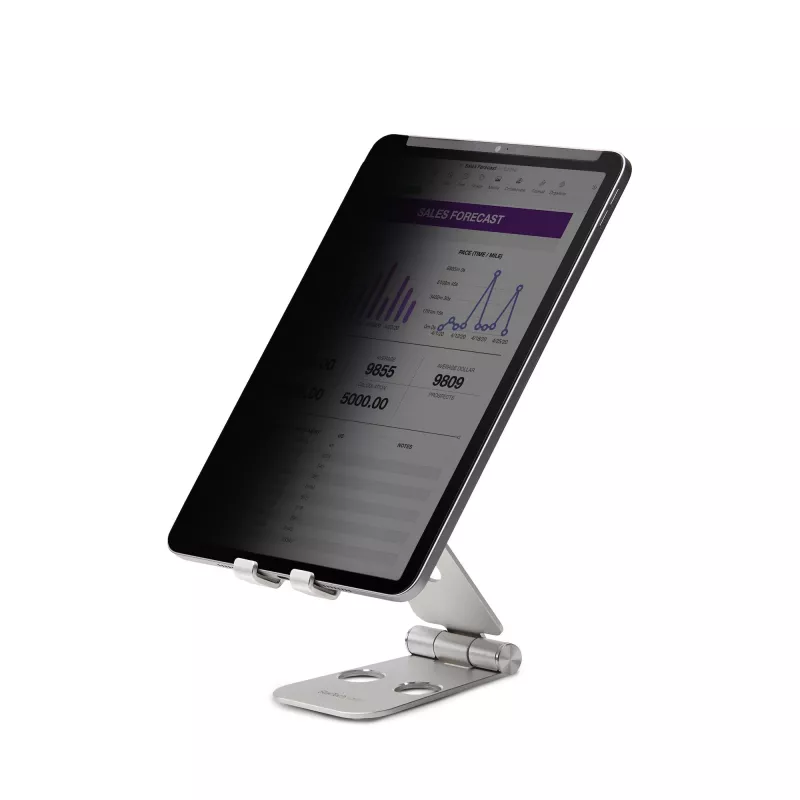 StarTech.com 4-virzienu privātuma ekrāns 11 collu iPad Pro, portreta/ainavas orientācijai, pieskārienu atbalsts, +/-30° skata leņķis, bloķē līdz 51% zilās gaismas, pretatspīduma