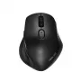 ASUS MW203 pele Office labā roka RF Bezvadu + Bluetooth Optiskā 2400 DPI