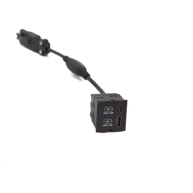 Bachmann 917.227 kontaktligzda ar USB A + USB C, melna, IP20, 250V