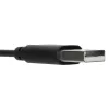 Targus AEH102GL vadu austiņas/mikrofons Galvas saite Zvanīšana/Mūzika USB Type-A Melns