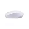 Acer M501 RF bezvadu optiskā pele