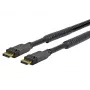 Vivolink PRODPAM10 DisplayPort kabelis 10 m Melns