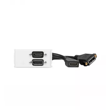 Vivolink WI221267 sienas kontaktligzda HDMI + DisplayPort Balta