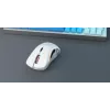 Glorious Gaming Glorious Model D Wireless - Matēti balts, labā roka, RF bezvadu, 19000 DPI, Balts