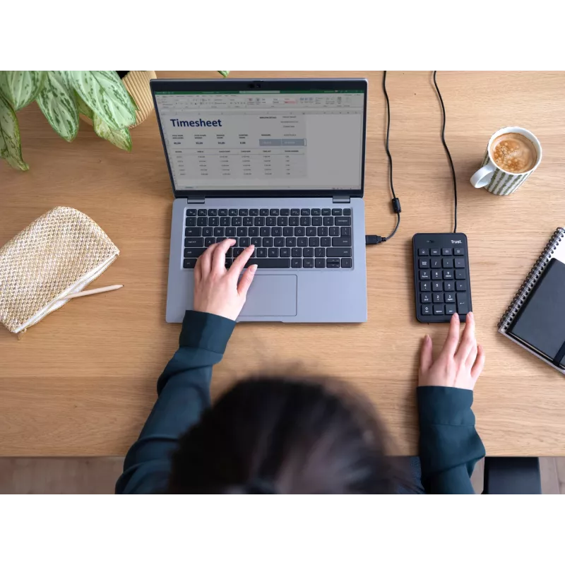Trust 22221 ciparu tastatūra klēpjdatoram/PC USB Melna