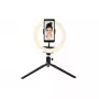 Apgaismojuma gredzens Denver RLS-801 80 LED 600 lm 6500 K USB