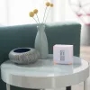 Viedais termostats Netatmo NTH01-EN-EU