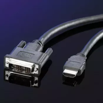 DVI kabelis ROLINE DVI (18+1) M - HDMI M 2 m