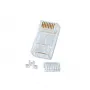 Lindy RJ-45 vīriešu savienotājs, neekranēts, 8 kontaktu, CAT6, 10 gab. iepakojums