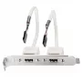 Lindy 2 Port USB 2.0 PC aizmugures panelis