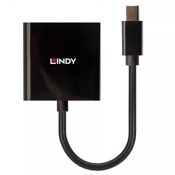 Lindy Mini DisplayPort uz DVI aktīvais pārveidotājs 0.16m Melns