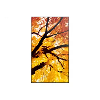 Sharp MultiSync PN-M982 Interaktīvais plakanā ekrāna panelis 2,48 m (97,5 collas) LED 550 cd/m² 4K Ultra HD Melns 24/7