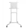 Vivolink VLFS3770 TV stiprinājums/statīvs 177.8 cm (70 collas) Balts