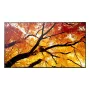 Profesionālais digitālās izkārtnes panelis NEC MultiSync M862 — 86 collu (2.18 m) LCD, 4K UHD 3840×2160, 550 cd/m², 24/7, Melns