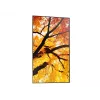 Sharp MultiSync PN-M752 189,2 cm (74,5 collu) LED 550 cd/m² 4K Ultra HD Melns 24/7