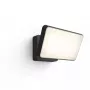 Philips Hue White Welcome Floodlight āra viedā sienas lampa, 20.5W LED, melna