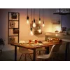 Philips Hue White E27 viedā kvēldiega spuldze, 550 lm