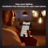 Philips Hue White Filament ST64 E27 Edison viedspuldze, 7,2 W, 550 lm, 2100K, regulējama gaismas stiprumā, Bluetooth/Zigbee