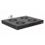 Equip EZF-4-B dzesēšanas ventilatori 19 inch, 1U, 4 ventilatori, RAL9005 melns
