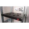 Equip EZF-4-B dzesēšanas ventilatori 19 inch, 1U, 4 ventilatori, RAL9005 melns